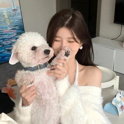 猪猪侠之囧囧危机
